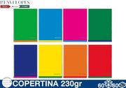 QUADERNONE MAXI 80/100 GR 1PZ