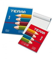 BLOCK NOTES 10X15  60FF 5MM