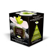 SWEET HOME DIFF.150ML BIANCO E PEONIA