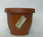 VASO DORICO D.18 3497