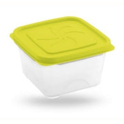 CONTENITORE ASTER QUADRO PICCOLO