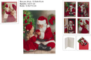 NATALE BIGLIETTO 12X17CM VELLUTO 46936 2ESSE