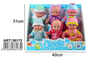 CICCIO C/VOCE 36173 APEL