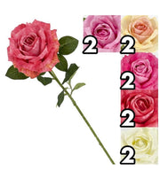 ROSA SHABBY LOVE 64CM 62684 LOVIMPORT