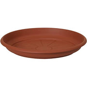 SOTTOVASO AMANTEA CM.14 2714