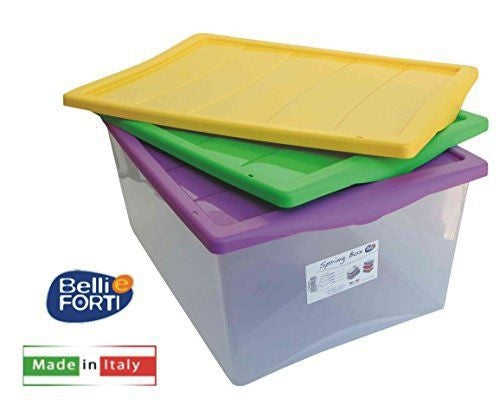 BELLI E FORTI SPRING BOX L