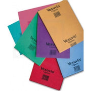 VESUVIO MICRO JOY QUADRO 50X70 61924
