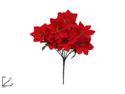 NATALE MAZZETTO STELLE 2ESSE