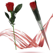 ROSA CONFEZIONE PLASTICA 99210 FGF