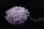 NATALE 1536 MINILUC.ROSA 06288 MERCURY